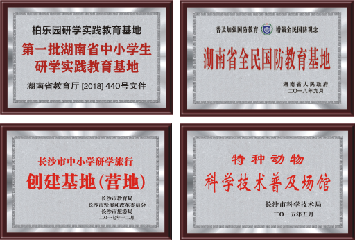 雷鋒研學基地