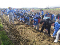 紅色研學(xué)旅行活動(dòng)方案