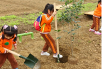 研學(xué)旅行方案設(shè)計(jì)