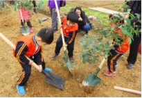 紅色研學(xué)旅行活動(dòng)方案