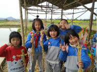 小學(xué)研學(xué)旅行活動(dòng)方案設(shè)計(jì)